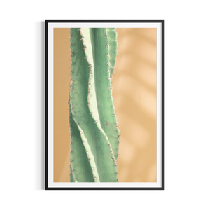 Desert Geometry