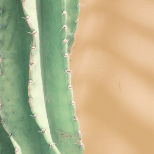Desert Geometry