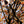 Disco Tree