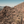 Gates Pass