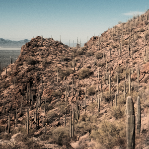 Gates Pass