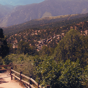 Mountain Path