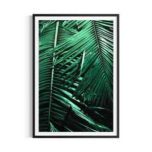 Nocturne Palms