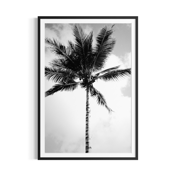 Palm in the Breeze