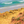 Point Danger