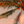 Tropical Sunrise